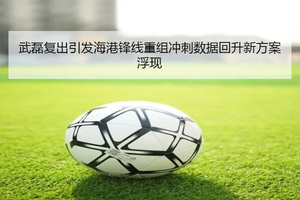 武磊复出引发海港锋线重组冲刺数据回升新方案浮现 | kaiyun